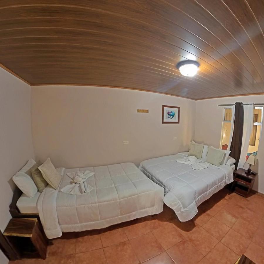 Casa Jungle Monteverde B&B Экстерьер фото