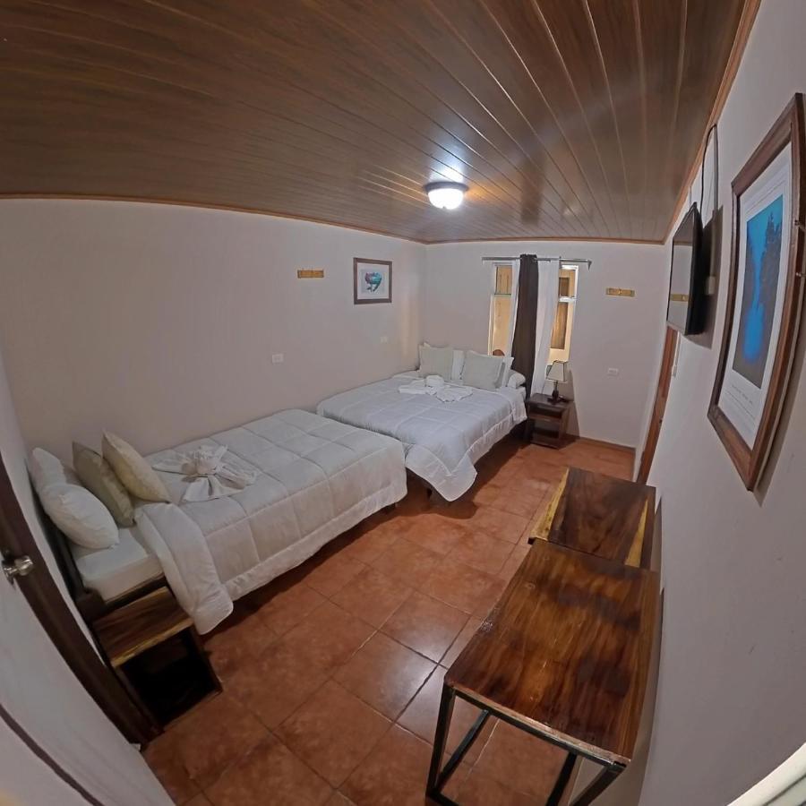 Casa Jungle Monteverde B&B Экстерьер фото