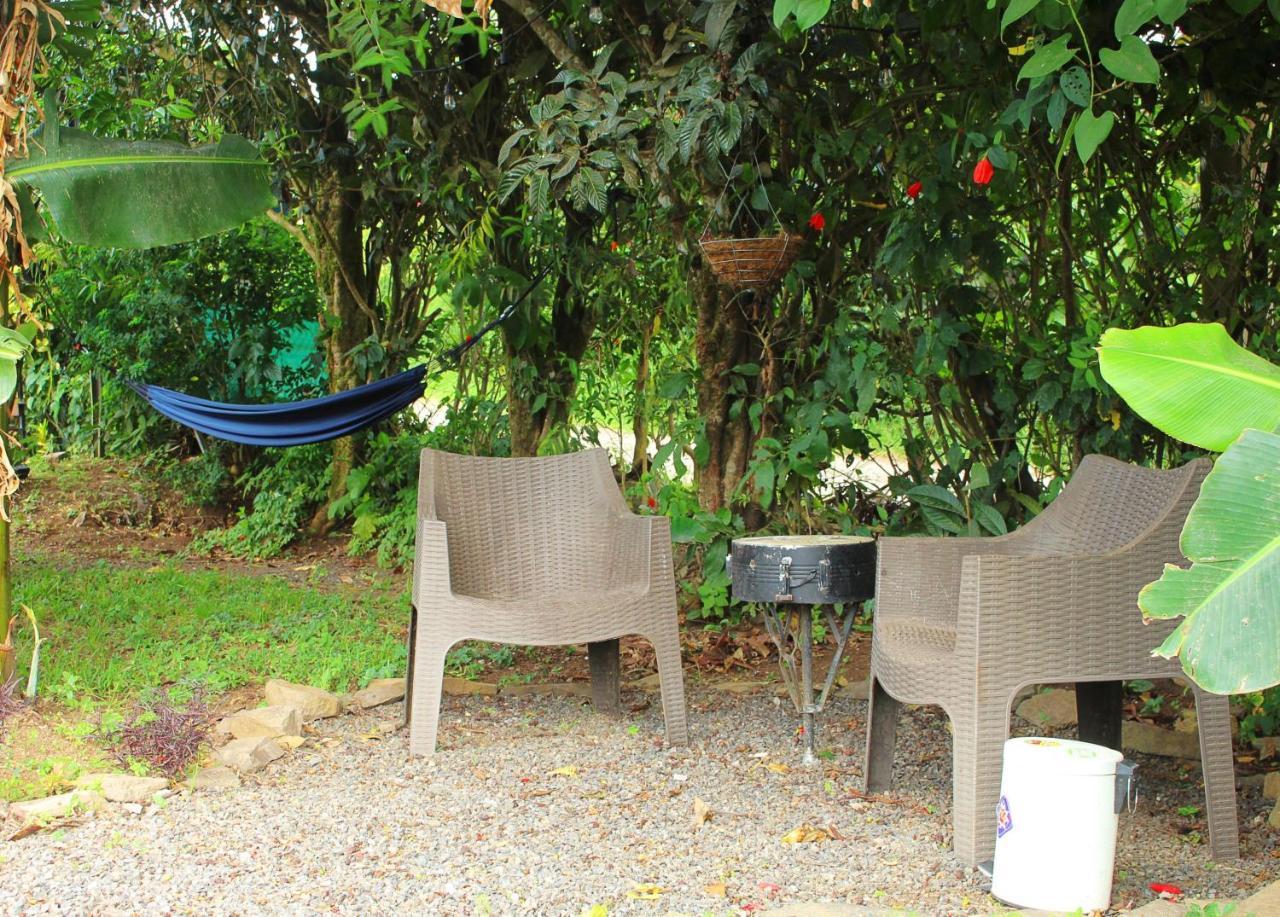 Casa Jungle Monteverde B&B Экстерьер фото