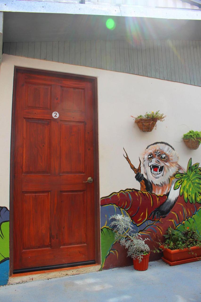 Casa Jungle Monteverde B&B Экстерьер фото